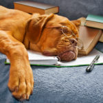 initiative fatigue